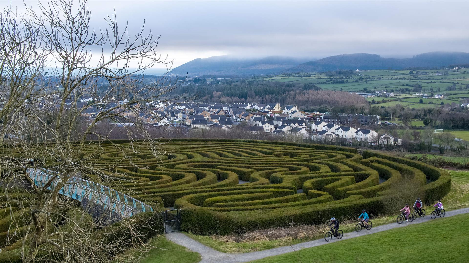 Castlewellan Peace Maze