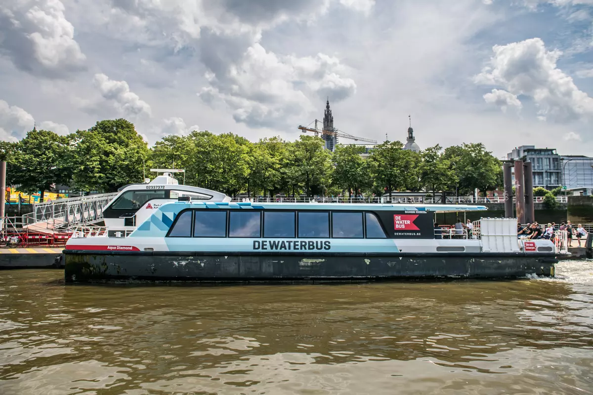 Take a boat tour on the Scheldt River