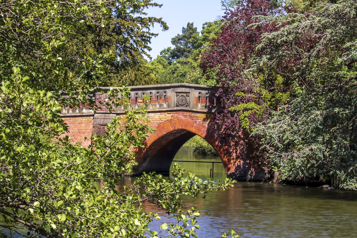 Take a stroll in Cannon Hill Park