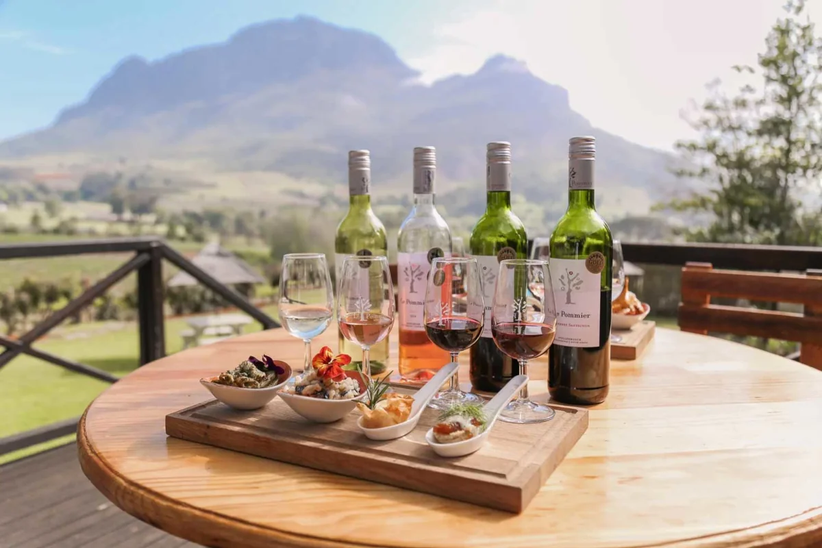 Taste wine in the Cape Winelands
