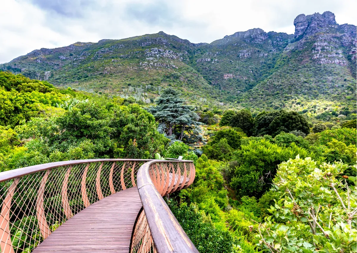 Visit Kirstenbosch National Botanical Garden