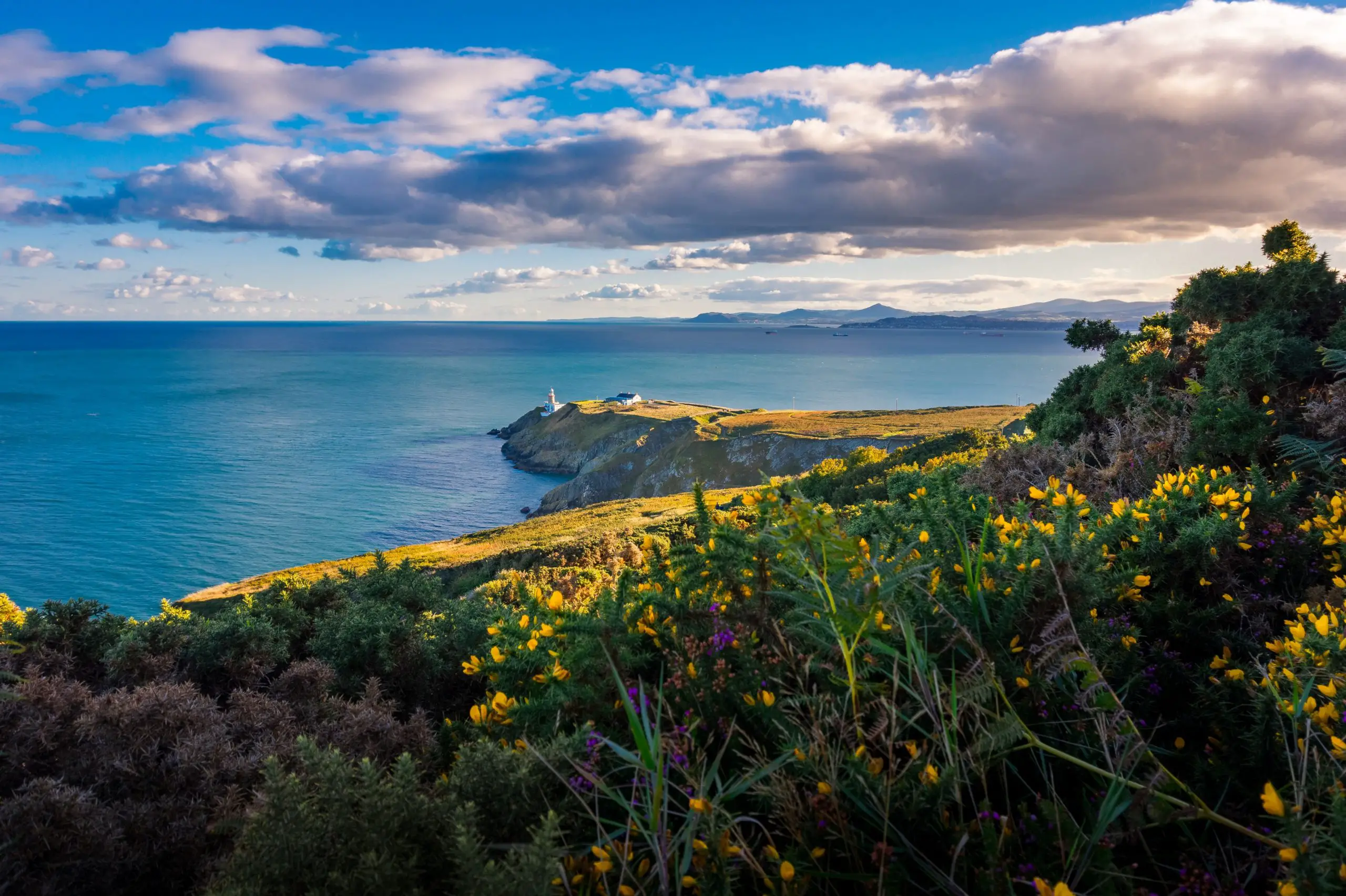 Walk the Howth Cliff Path