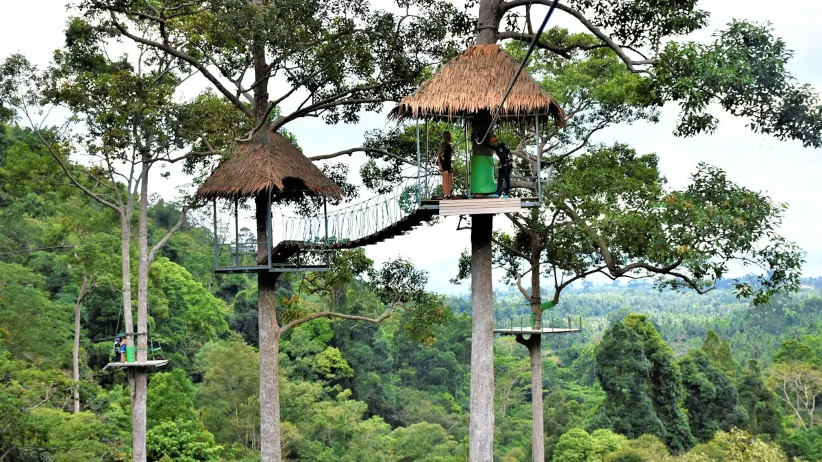 Zip-line through the jungle