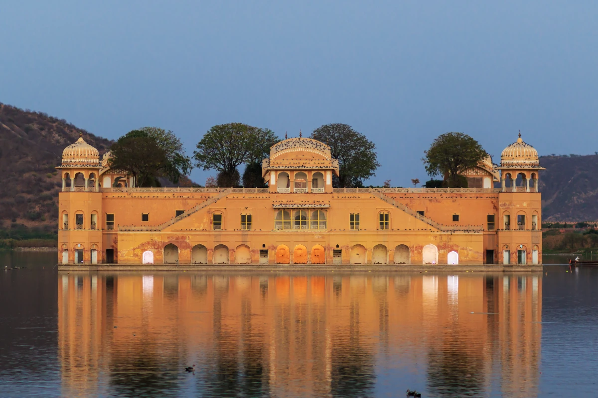 Stroll among the lotus blossoms at Jal Mahal gardens