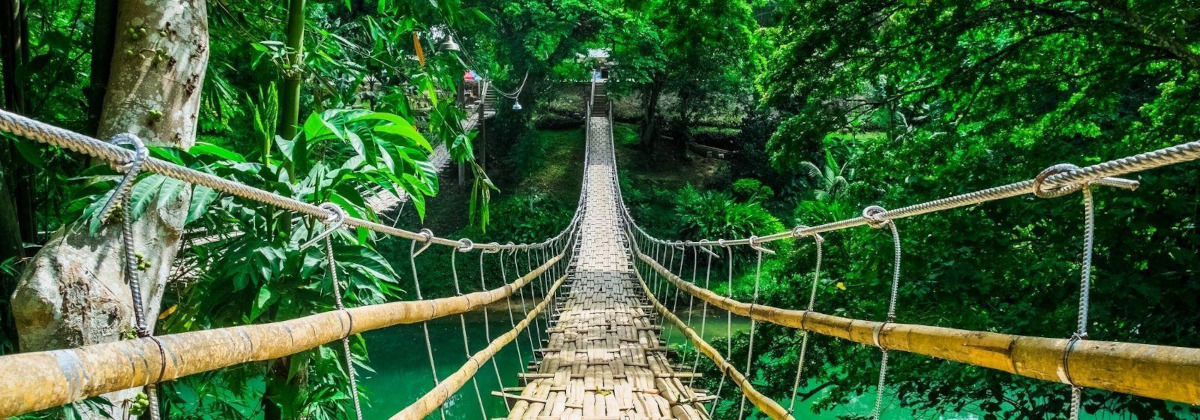 Visit the Rainforest Adventure Experience