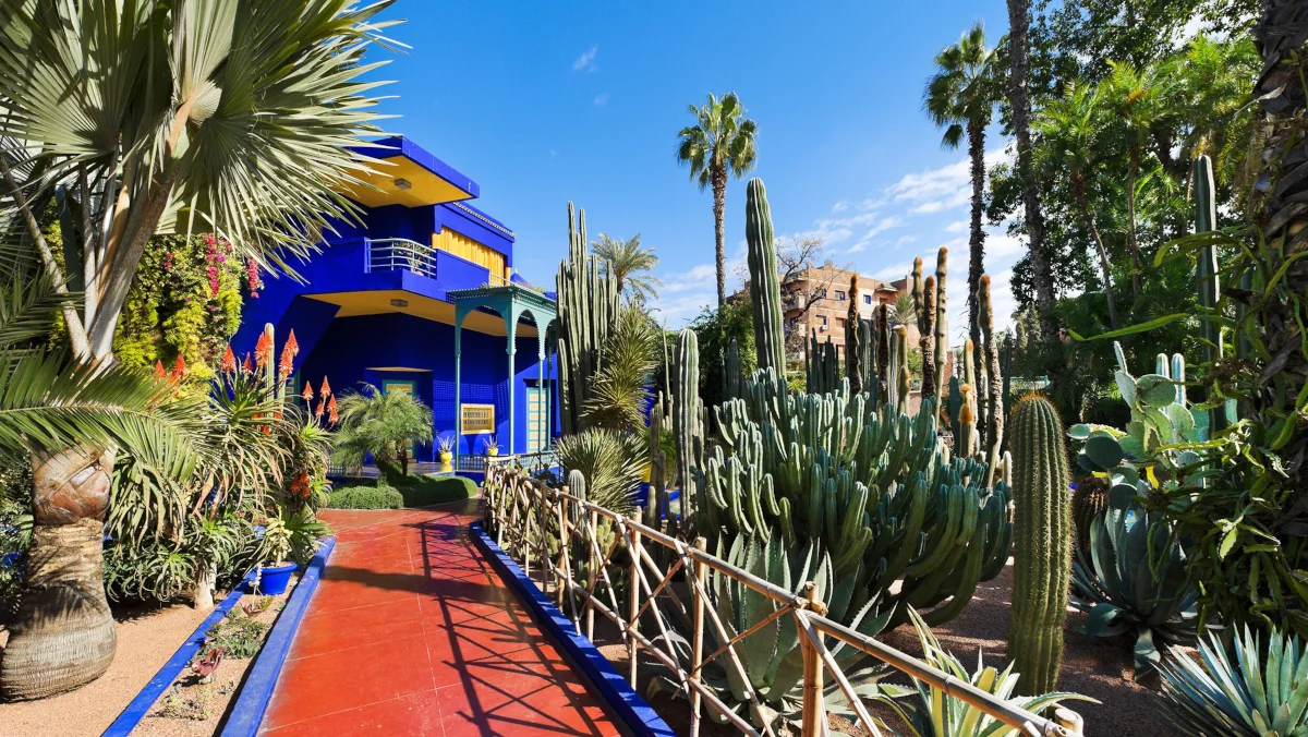 Wander through Majorelle Gardens