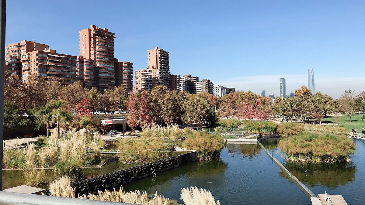 Enjoy a picnic at Parque Bicentenario