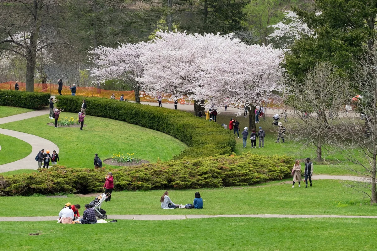 Have a picnic at High Park
