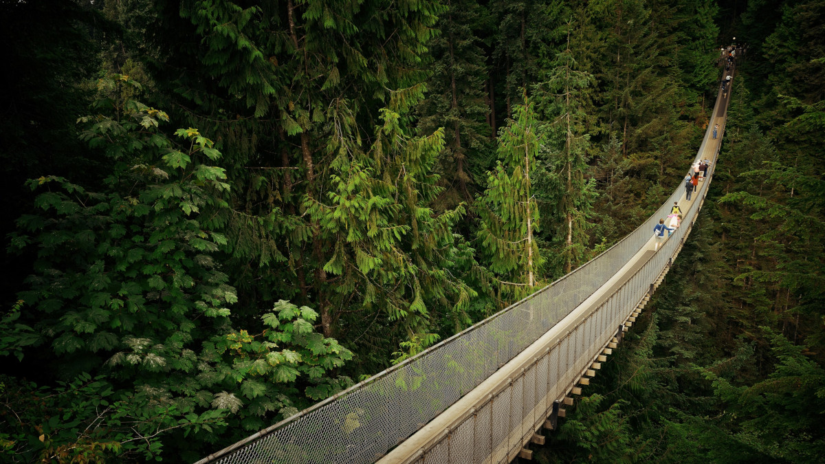 Walk Across the Capilano Suspension Bridge